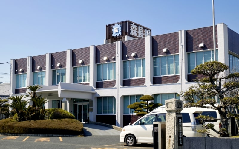 Company overview