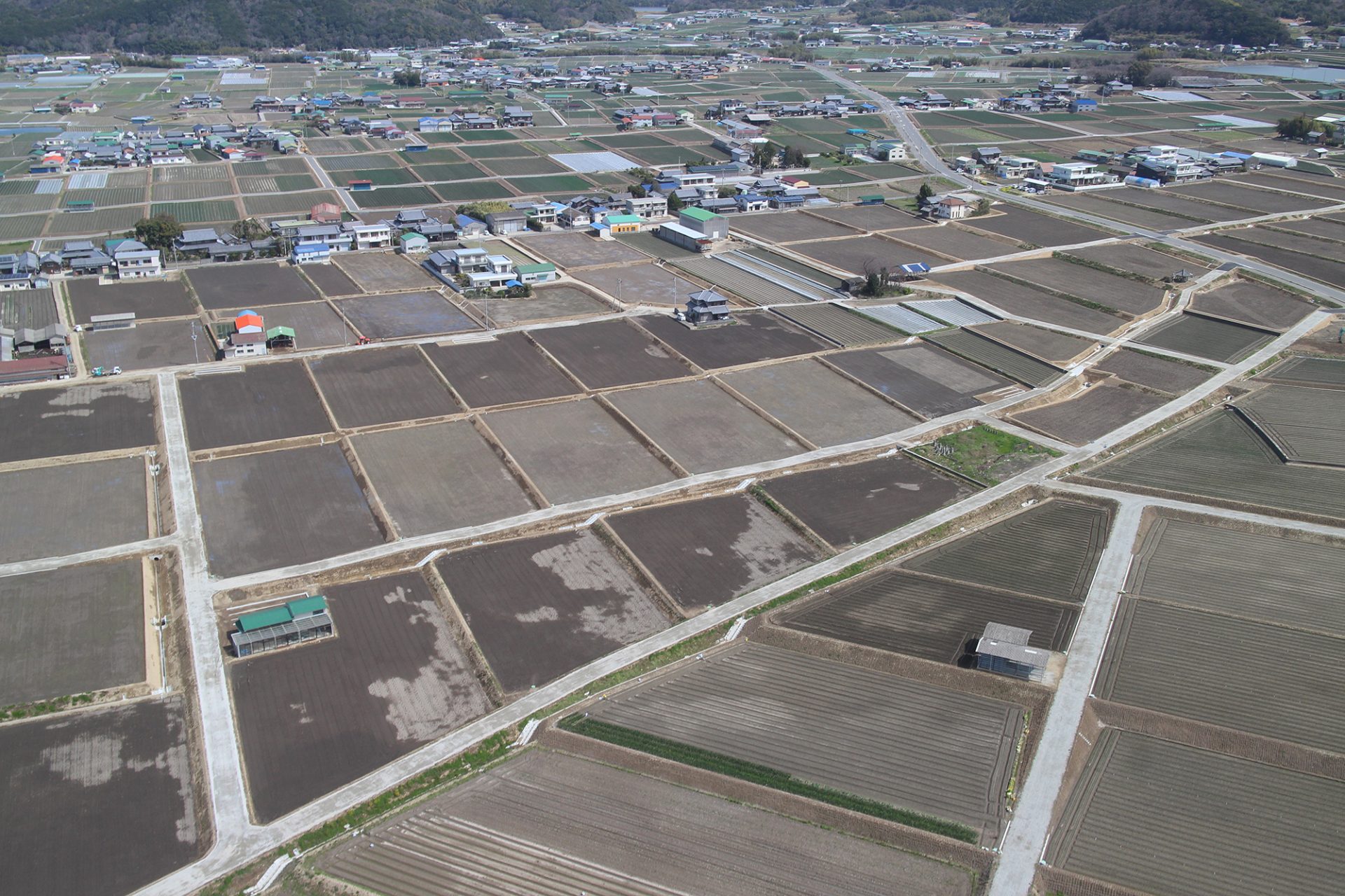 経営体育成基盤整備事業 新田地区 第８－３工区工事